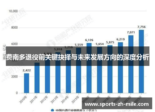 费南多退役前关键抉择与未来发展方向的深度分析