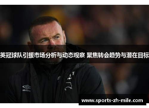 英冠球队引援市场分析与动态观察 聚焦转会趋势与潜在目标