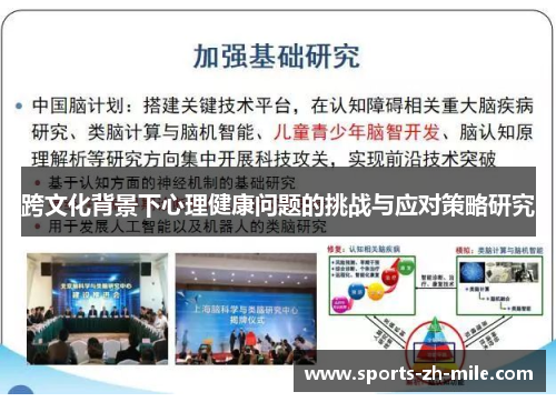 跨文化背景下心理健康问题的挑战与应对策略研究